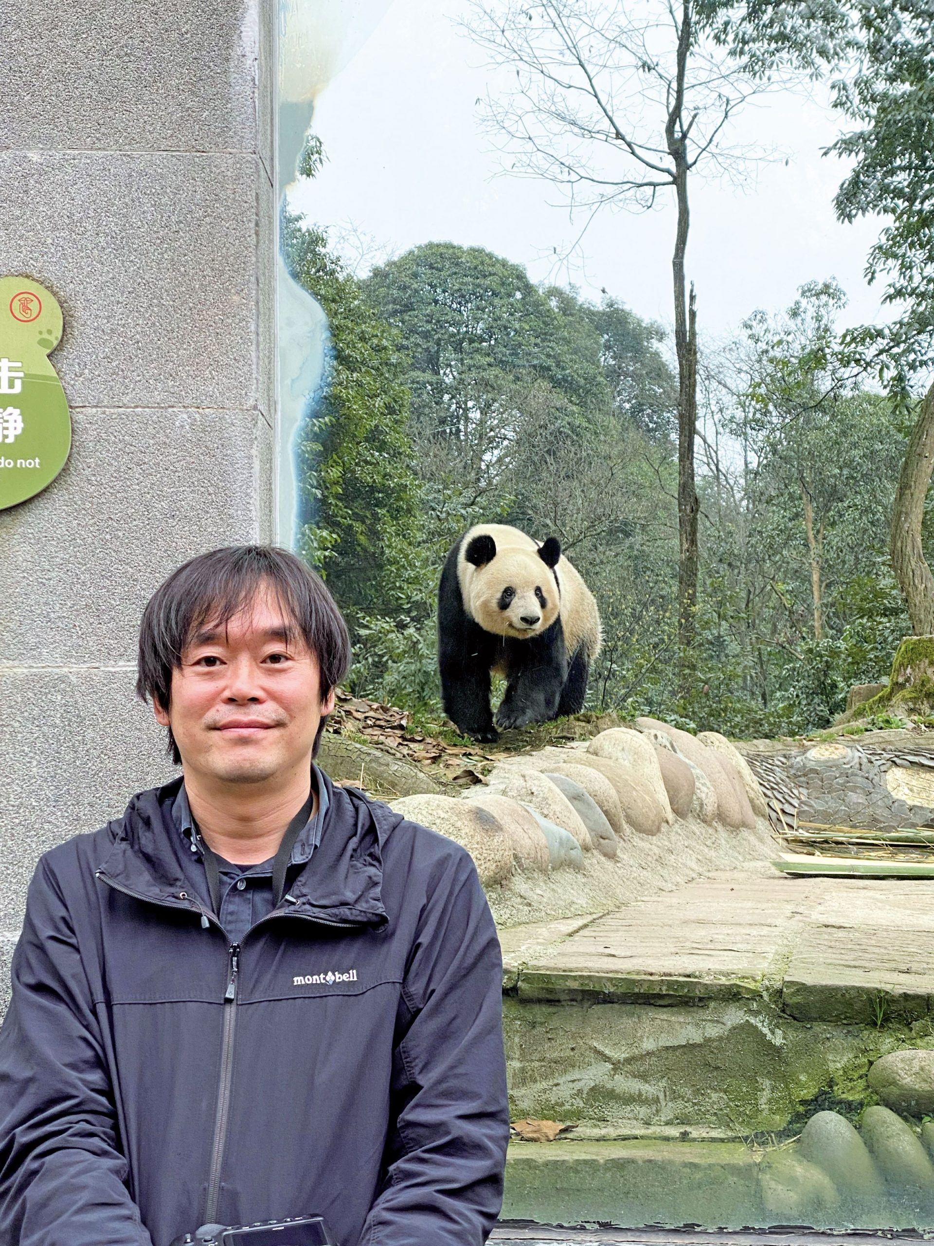誇らしいシャンシャンの活躍 中国語学び“我が子”と再会 - 公益社団法人